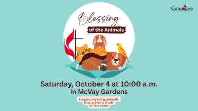 Blessing of the Animals