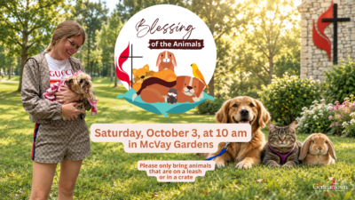 10.3.26 Blessing of the Animals